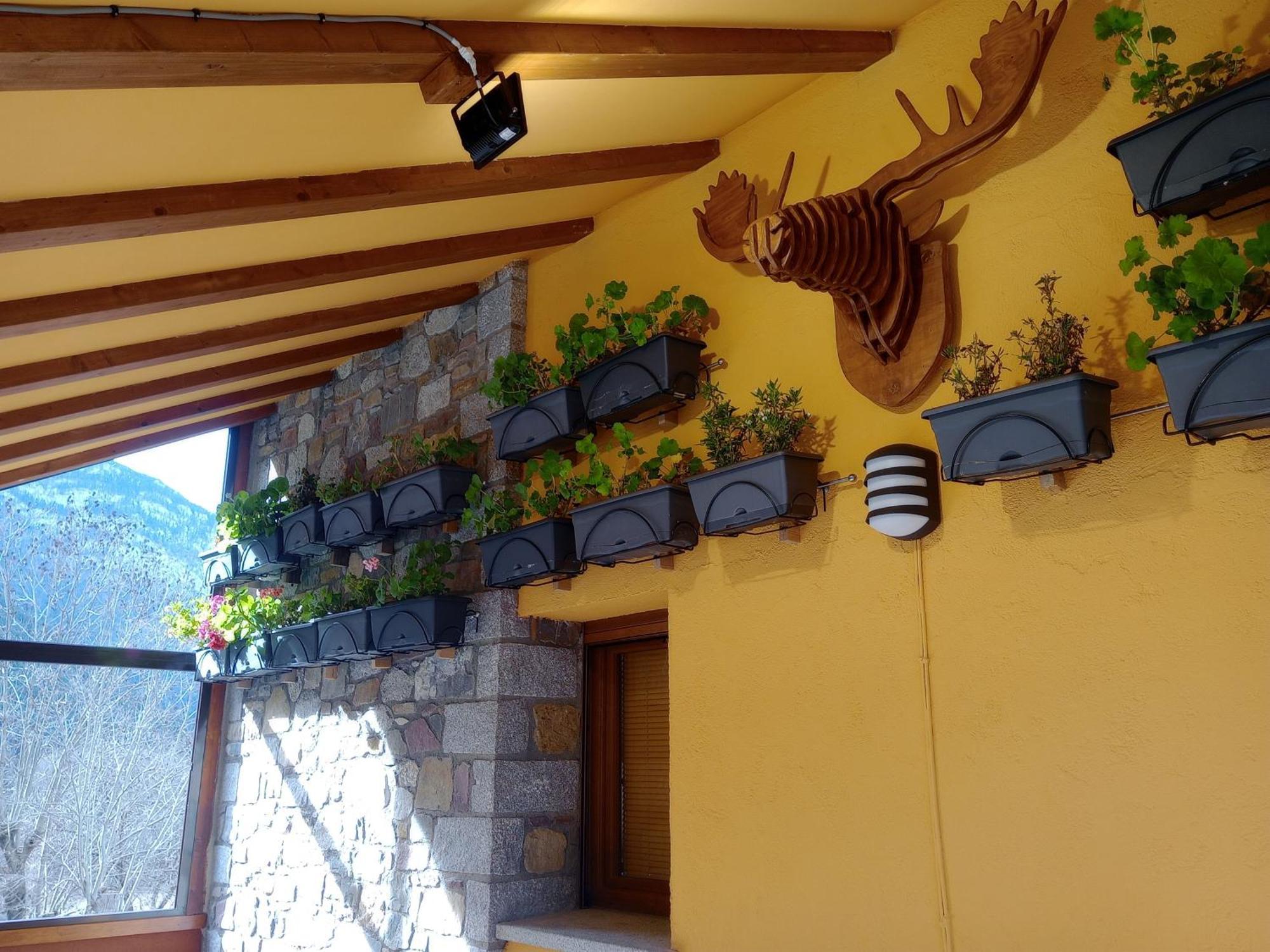 Pensjonat Casa Ferro Plan Zewnętrze zdjęcie